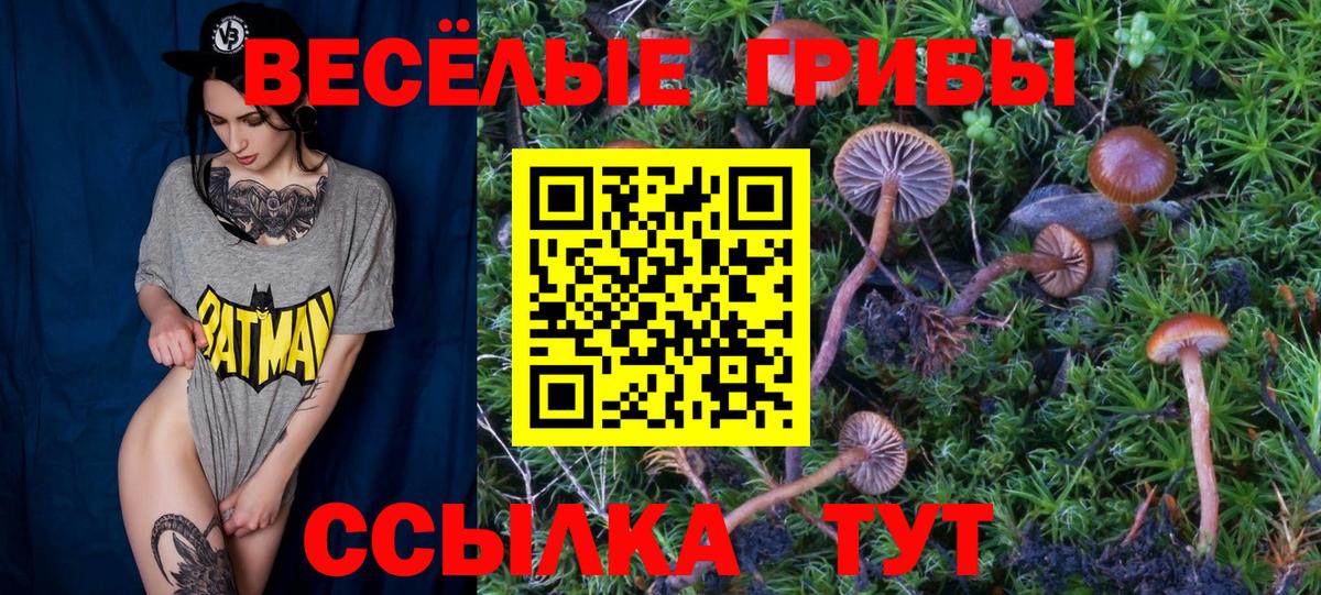Галлюциногенные грибы ЛСД  Вход с VPN  Туймазы 